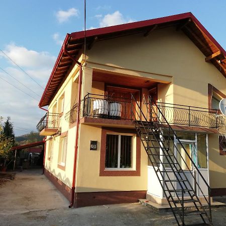 Hotel Casa Lidia Si Gogu Budeasa Mare Exterior foto