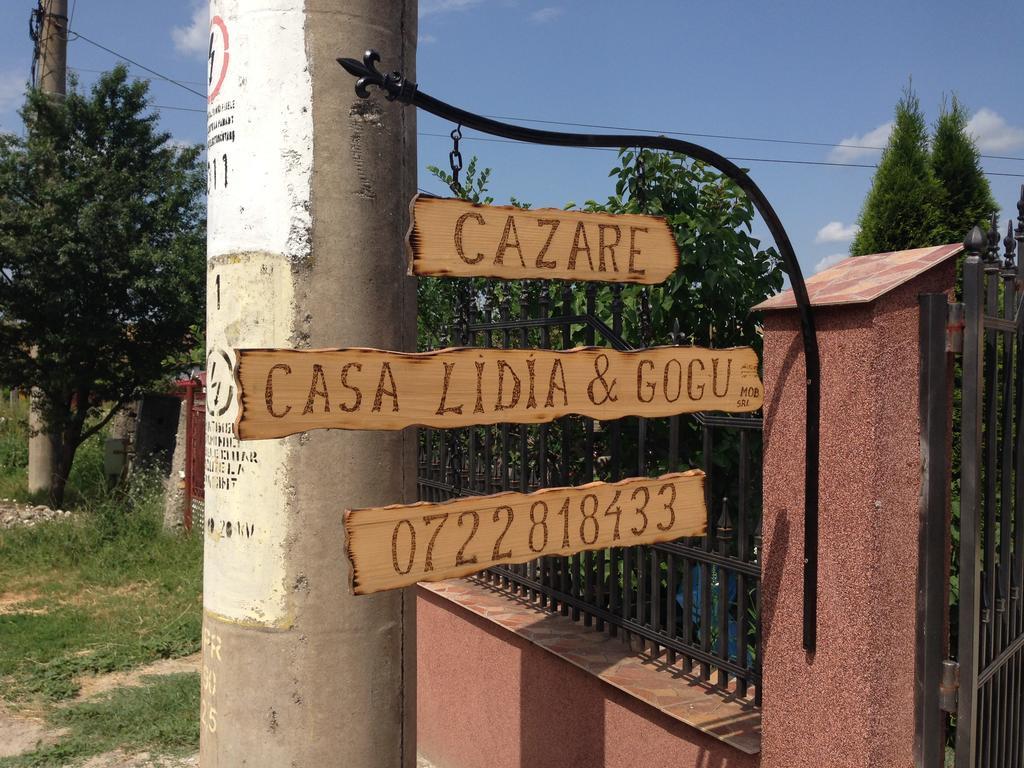 Hotel Casa Lidia Si Gogu Budeasa Mare Exterior foto