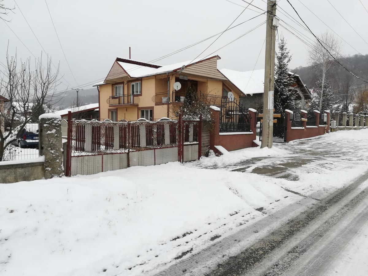 Hotel Casa Lidia Si Gogu Budeasa Mare Exterior foto