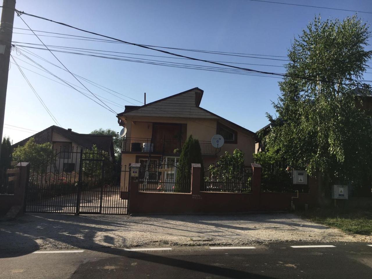 Hotel Casa Lidia Si Gogu Budeasa Mare Exterior foto