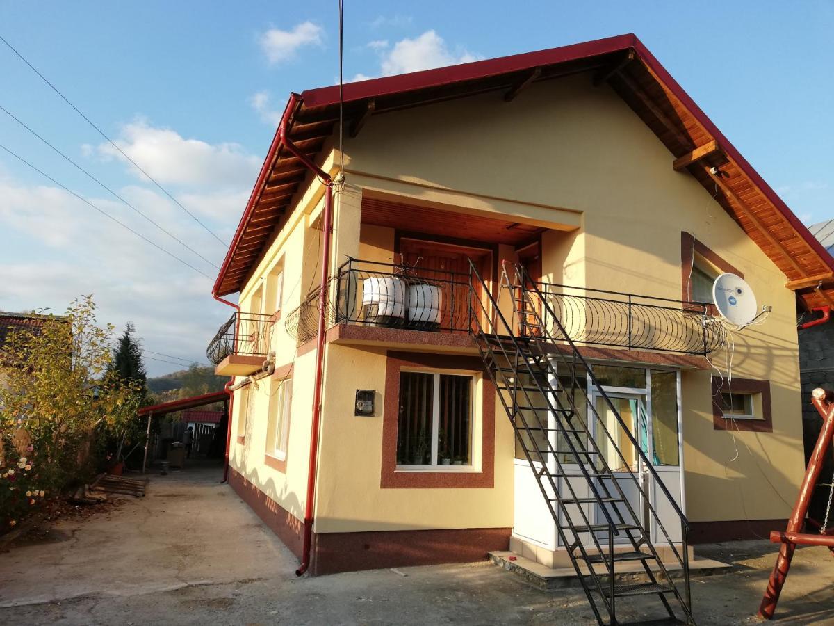 Hotel Casa Lidia Si Gogu Budeasa Mare Exterior foto